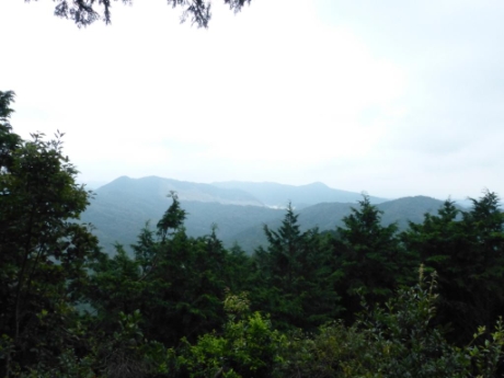 画像11